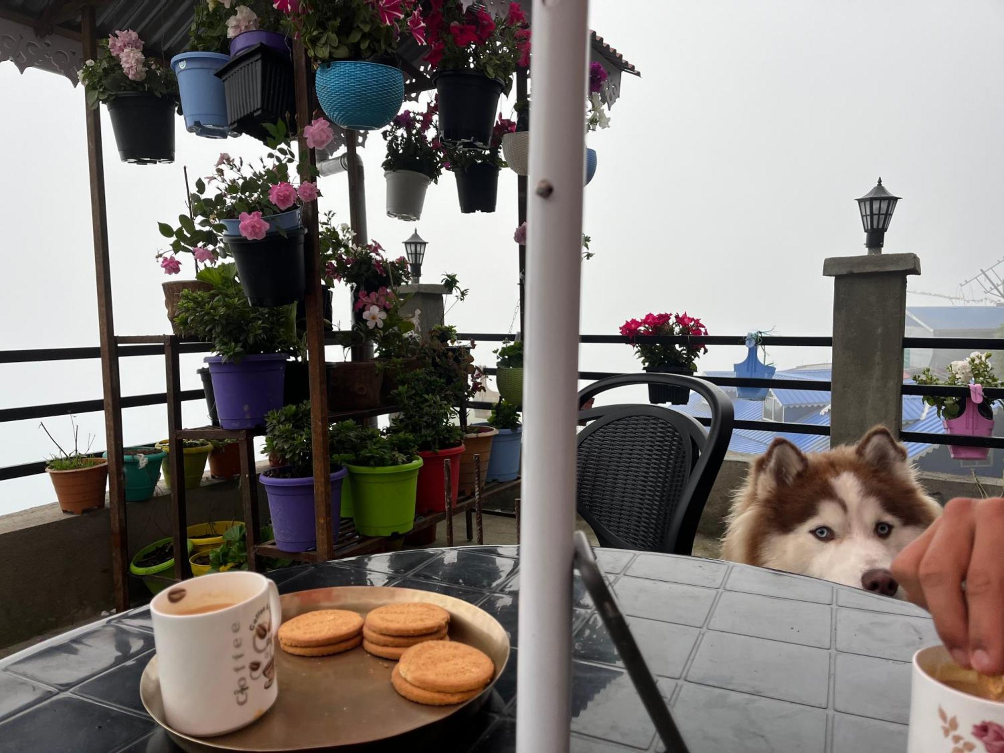 Shalom Inn Home Stay Darjeeling  Ngoại thất bức ảnh